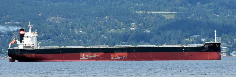 DREAM STAR Bulk Carrier IMO 9582996 photo 8