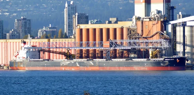 DREAM STAR Bulk Carrier IMO 9582996 photo 9