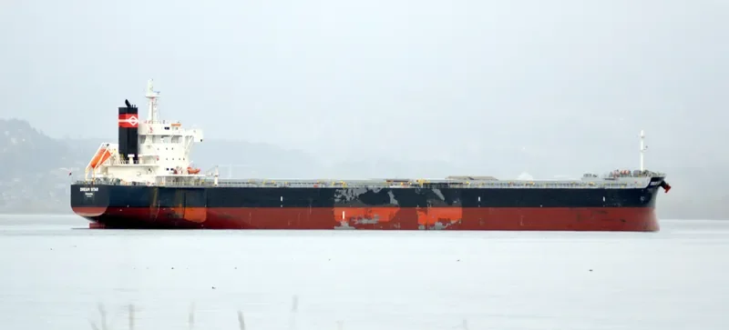 DREAM STAR Bulk Carrier IMO 9582996 photo 10