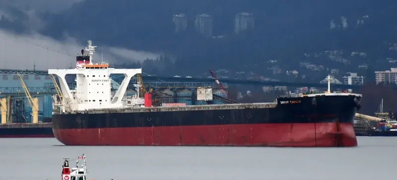 DREAM CANARY Bulk Carrier IMO 9583005