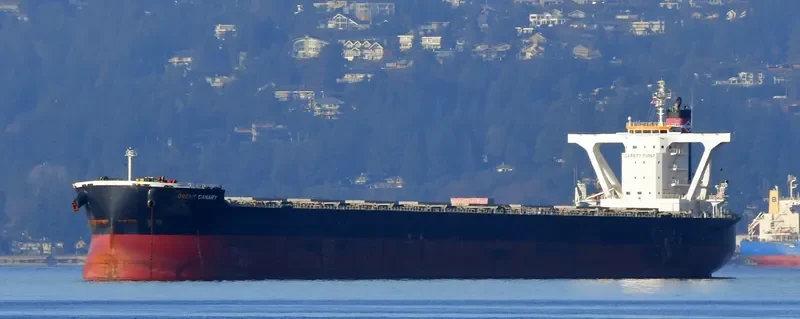 DREAM CANARY Bulk Carrier IMO 9583005 photo 2