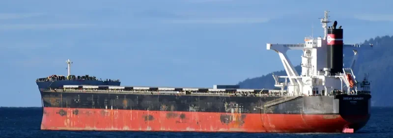 DREAM CANARY Bulk Carrier IMO 9583005 photo 3