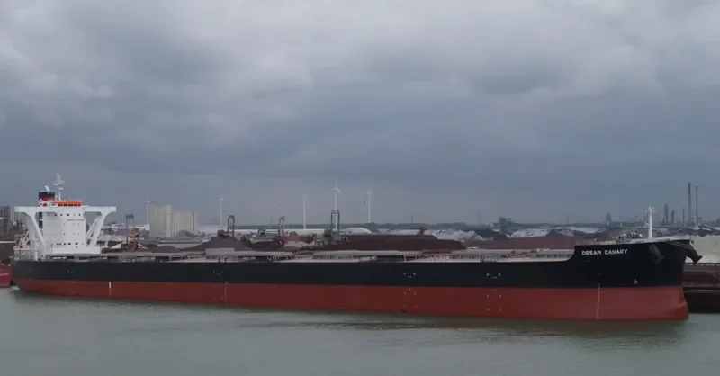 DREAM CANARY Bulk Carrier IMO 9583005 photo 5