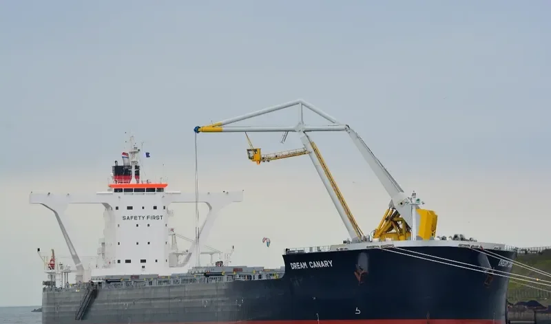 DREAM CANARY Bulk Carrier IMO 9583005 photo 6