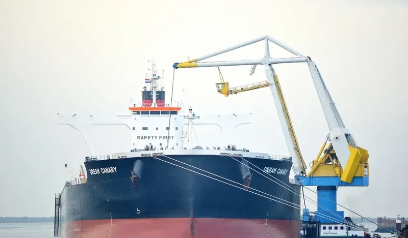 DREAM CANARY Bulk Carrier IMO 9583005 photo 7