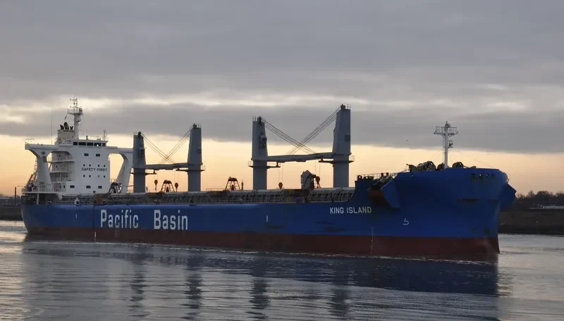 KING ISLAND Bulk Carrier IMO 9583017 photo 2