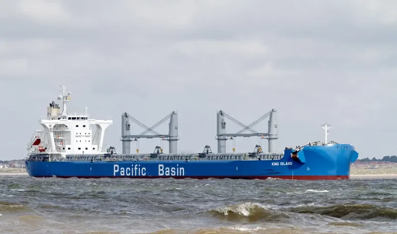 KING ISLAND Bulk Carrier IMO 9583017 photo 3