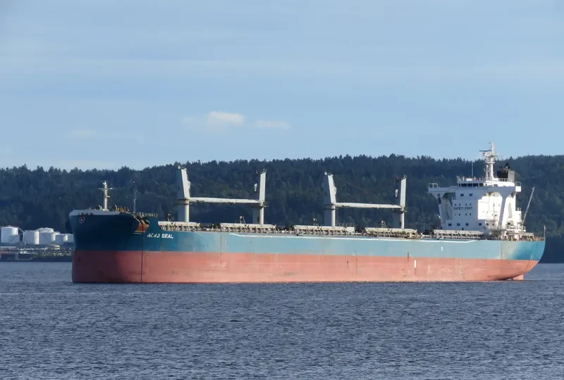 NORD SEAL Bulk Carrier IMO 9583029 photo 9