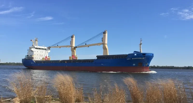 MANISA ALENA General Cargo IMO 9583043 photo 9