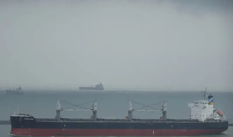 LOUISIANA MAMA Bulk Carrier IMO 9583108