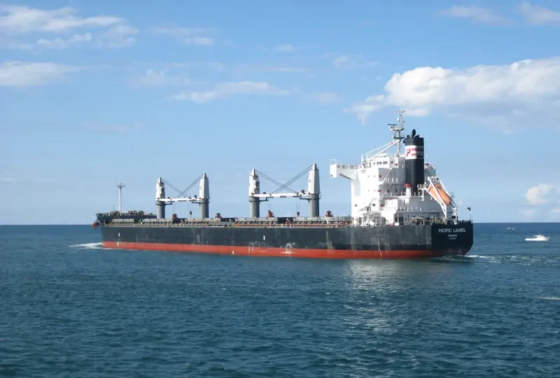 LOUISIANA MAMA Bulk Carrier IMO 9583108 photo 2