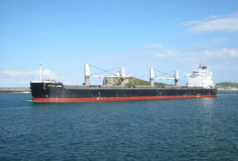 LOUISIANA MAMA Bulk Carrier IMO 9583108 photo 3