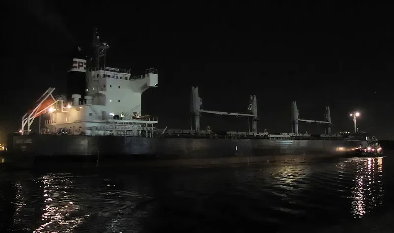 LOUISIANA MAMA Bulk Carrier IMO 9583108 photo 4