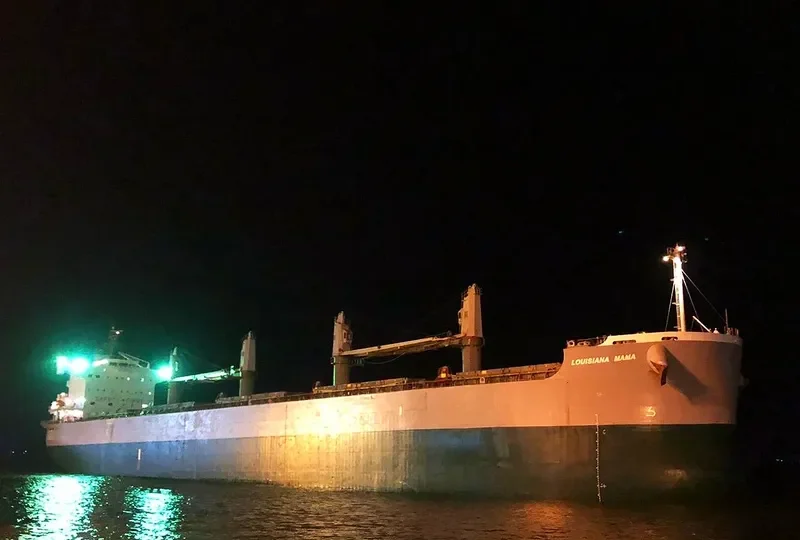 LOUISIANA MAMA Bulk Carrier IMO 9583108 photo 5