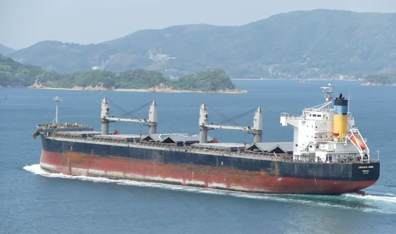 LOUISIANA MAMA Bulk Carrier IMO 9583108 photo 6