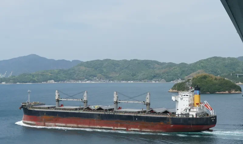 LOUISIANA MAMA Bulk Carrier IMO 9583108 photo 7