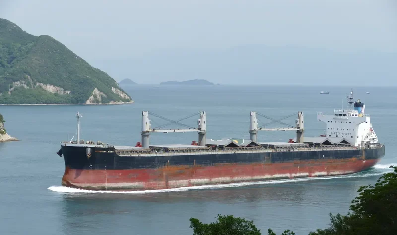LOUISIANA MAMA Bulk Carrier IMO 9583108 photo 8