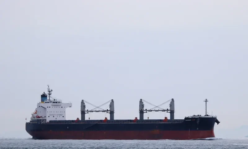 LOUISIANA MAMA Bulk Carrier IMO 9583108 photo 9