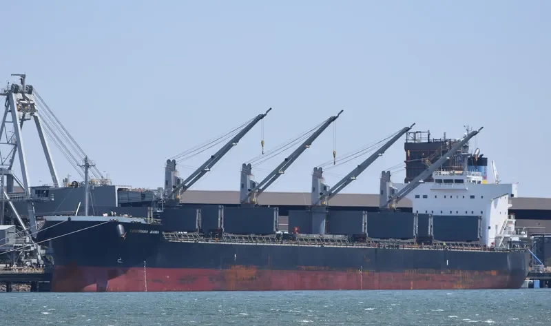 LOUISIANA MAMA Bulk Carrier IMO 9583108 photo 10