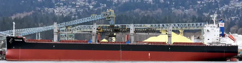TURICUM Bulk Carrier IMO 9583110 photo 2