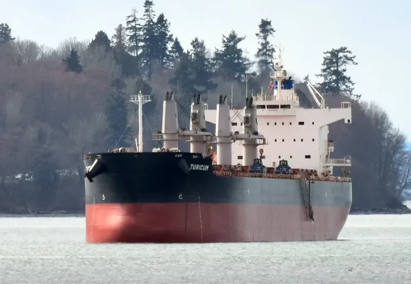 TURICUM Bulk Carrier IMO 9583110 photo 6