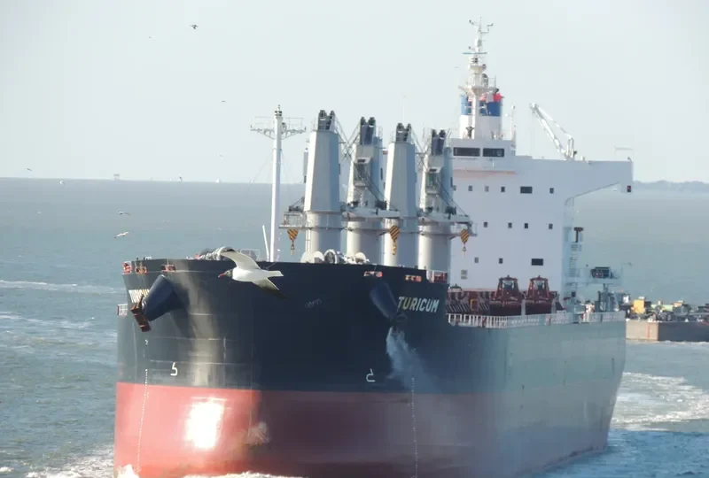 TURICUM Bulk Carrier IMO 9583110 photo 7