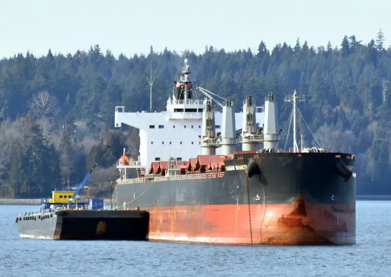 SAGAR SHAKTI Bulk Carrier IMO 9583122 photo 2