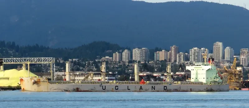 STAR NORITA Bulk Carrier IMO 9583134