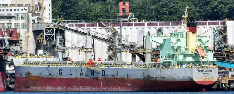 STAR NORITA Bulk Carrier IMO 9583134 photo 4