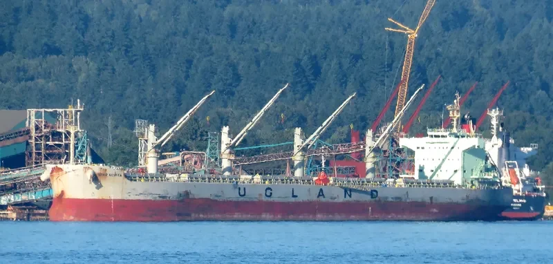 STAR NORITA Bulk Carrier IMO 9583134 photo 5