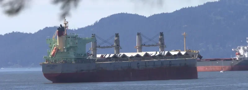 STAR NORITA Bulk Carrier IMO 9583134 photo 7