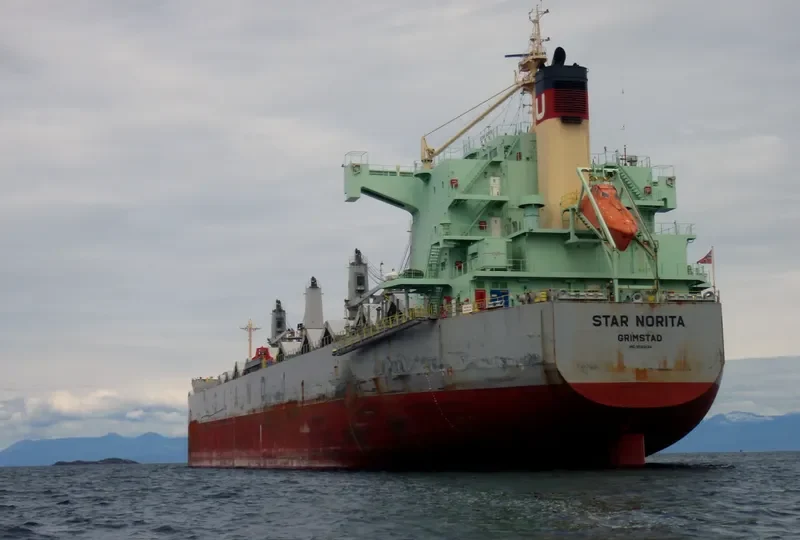 STAR NORITA Bulk Carrier IMO 9583134 photo 8