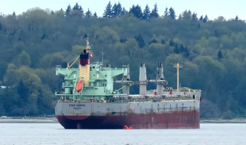 STAR NORITA Bulk Carrier IMO 9583134 photo 10