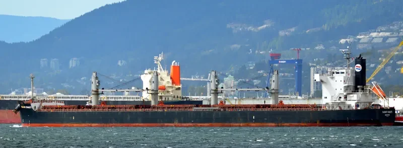 SAGAR MOTI Bulk Carrier IMO 9583146 photo 3