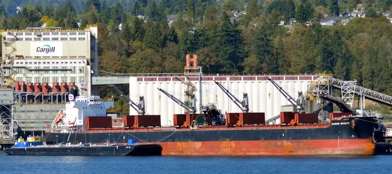 SAGAR MOTI Bulk Carrier IMO 9583146 photo 9