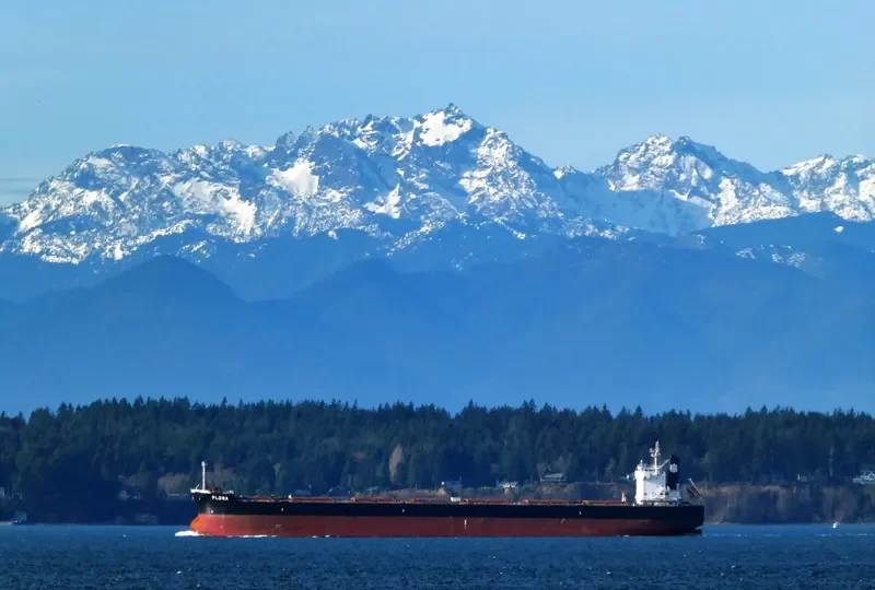 FLORA Bulk Carrier IMO 9583158