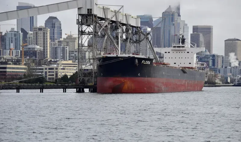 FLORA Bulk Carrier IMO 9583158 photo 2