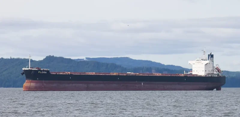 FLORA Bulk Carrier IMO 9583158 photo 3