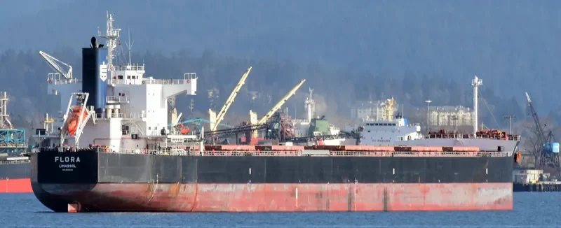 FLORA Bulk Carrier IMO 9583158 photo 5