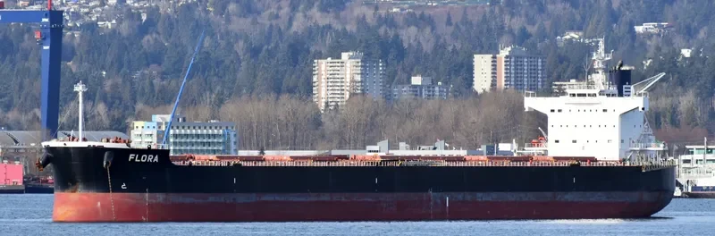 FLORA Bulk Carrier IMO 9583158 photo 6