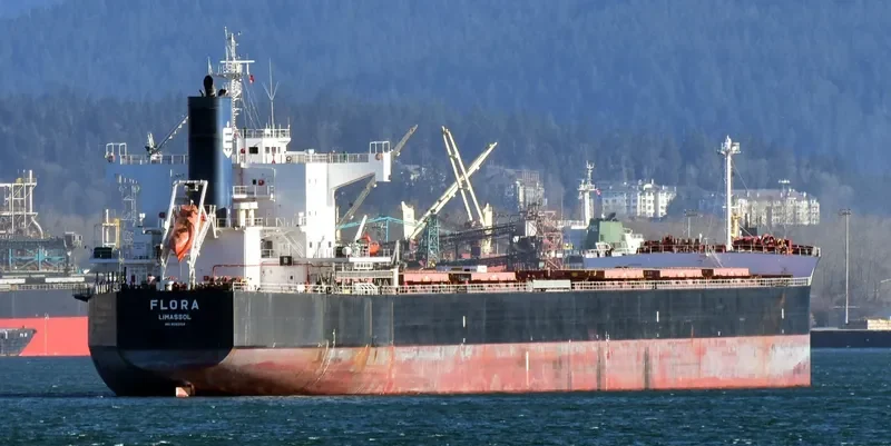 FLORA Bulk Carrier IMO 9583158 photo 7