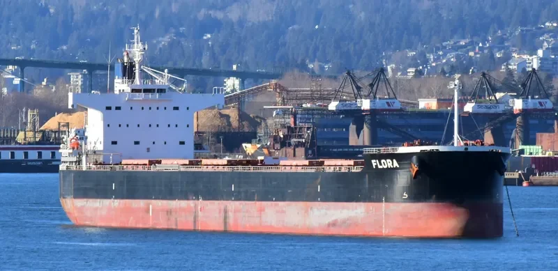 FLORA Bulk Carrier IMO 9583158 photo 8