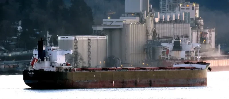 FLORA Bulk Carrier IMO 9583158 photo 9