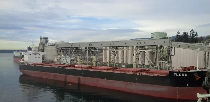 FLORA Bulk Carrier IMO 9583158 photo 10