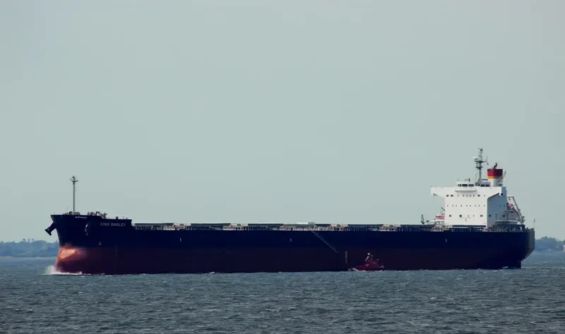 KING BARLEY Bulk Carrier IMO 9583160