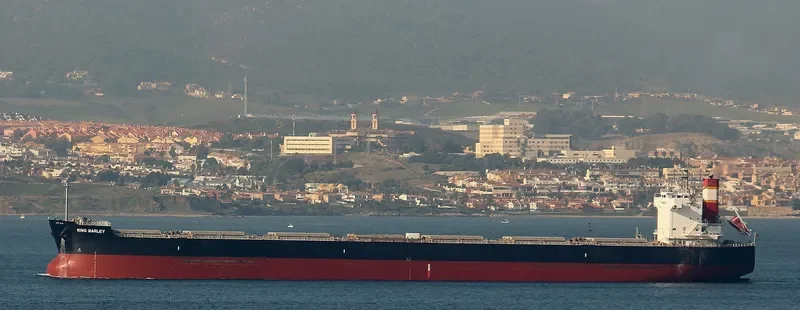KING BARLEY Bulk Carrier IMO 9583160 photo 2