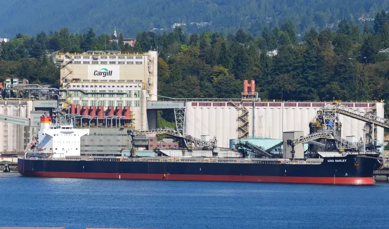 KING BARLEY Bulk Carrier IMO 9583160 photo 3