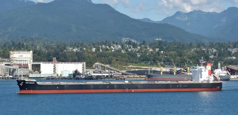 KING BARLEY Bulk Carrier IMO 9583160 photo 4