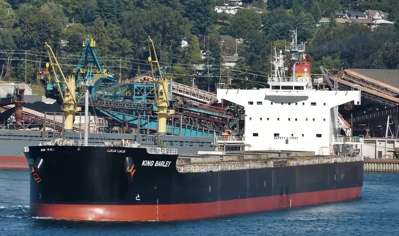 KING BARLEY Bulk Carrier IMO 9583160 photo 5