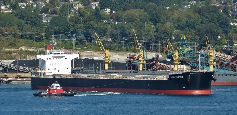 KING BARLEY Bulk Carrier IMO 9583160 photo 6